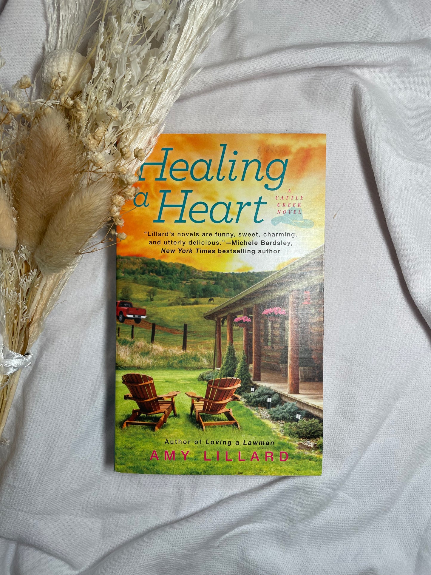 Healing a Heart