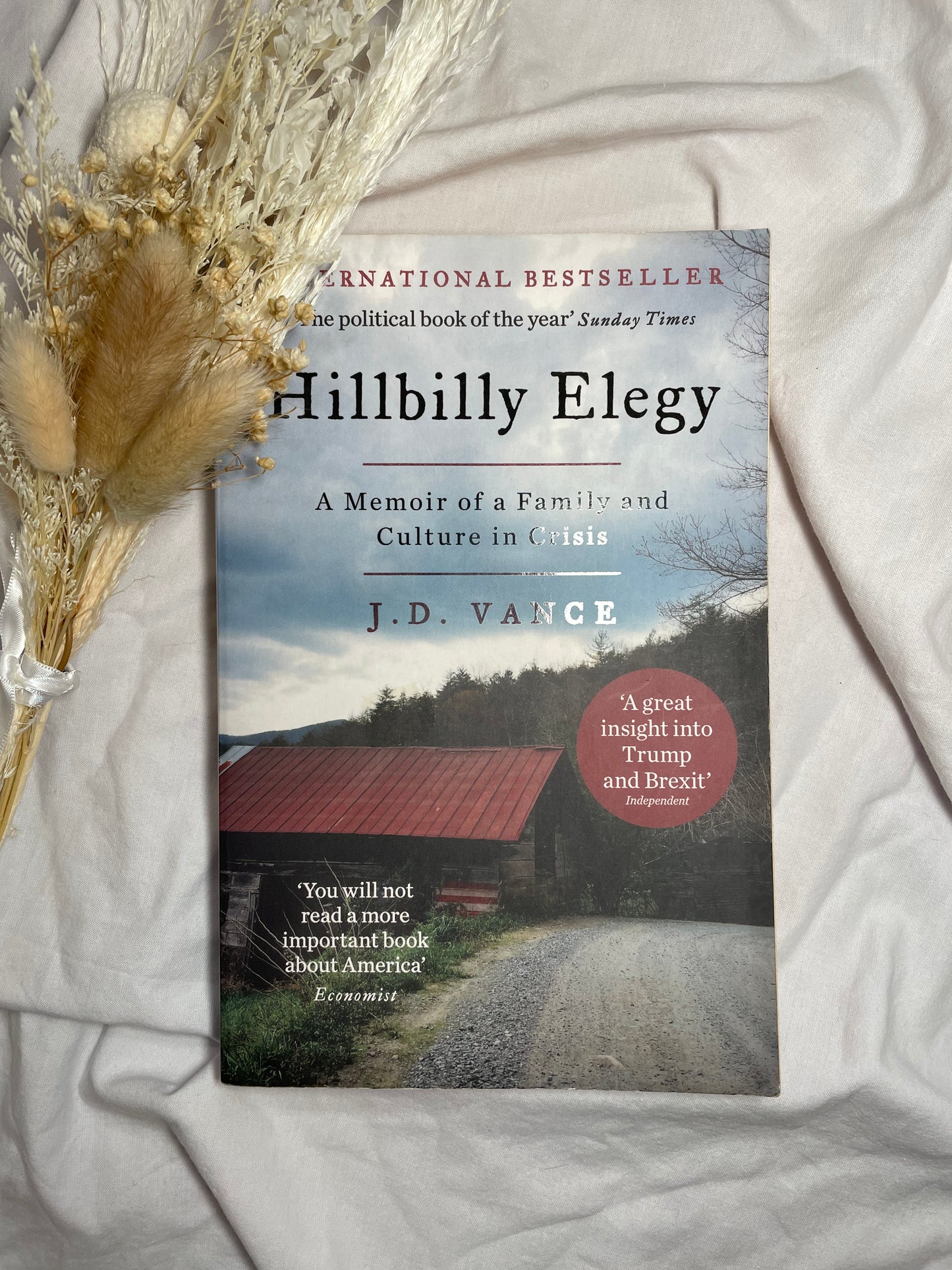 Hillbilly Elegy: A Memoir of a Family and Culture in Crisis